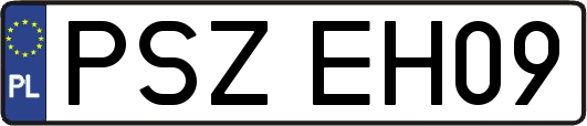 PSZEH09
