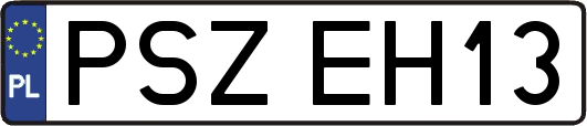 PSZEH13