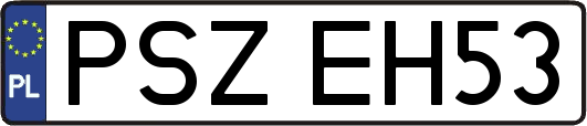PSZEH53