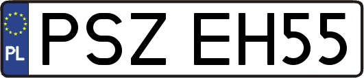 PSZEH55