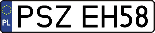 PSZEH58