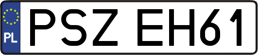 PSZEH61