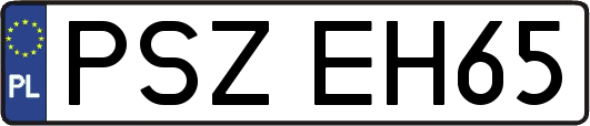 PSZEH65