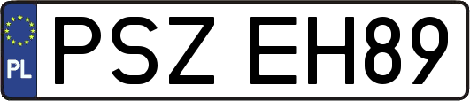 PSZEH89