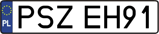 PSZEH91
