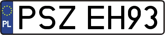 PSZEH93