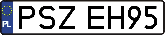 PSZEH95