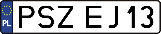 PSZEJ13