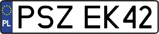 PSZEK42