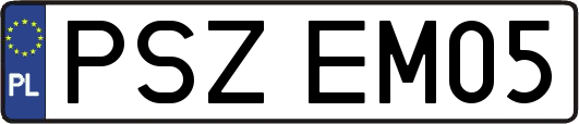 PSZEM05