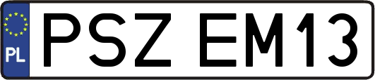 PSZEM13