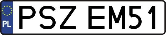 PSZEM51