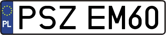 PSZEM60