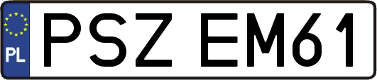 PSZEM61