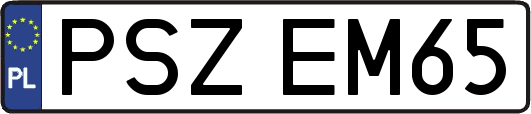 PSZEM65