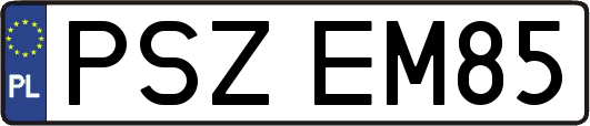 PSZEM85