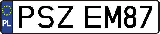 PSZEM87