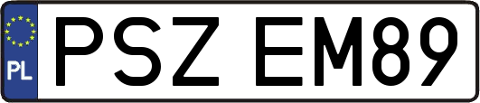 PSZEM89