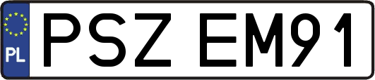 PSZEM91