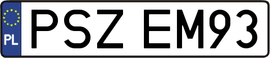 PSZEM93