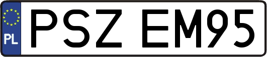 PSZEM95