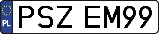 PSZEM99