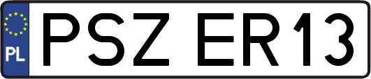 PSZER13