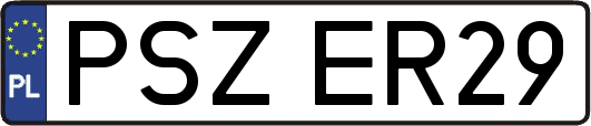 PSZER29