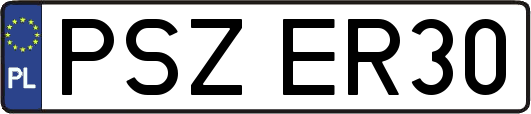 PSZER30