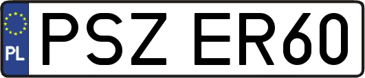 PSZER60