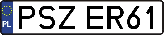 PSZER61