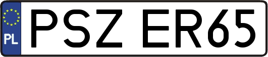 PSZER65