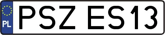PSZES13