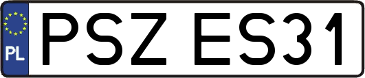 PSZES31