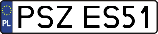 PSZES51