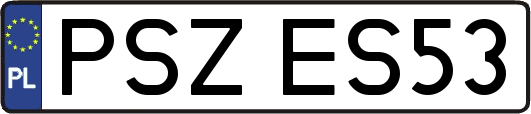 PSZES53