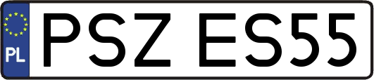 PSZES55