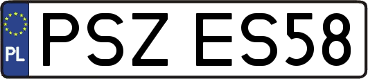 PSZES58