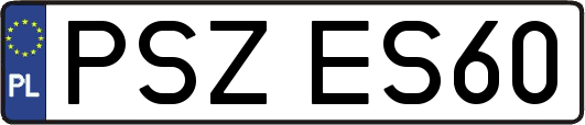 PSZES60