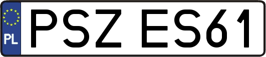 PSZES61