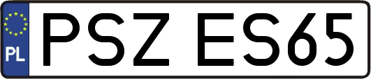 PSZES65