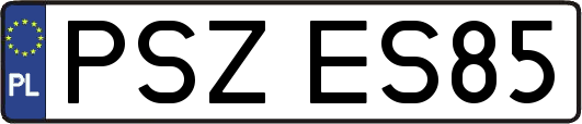 PSZES85