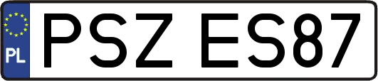PSZES87