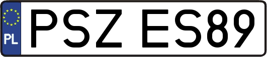 PSZES89