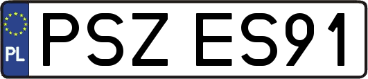 PSZES91