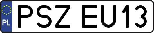 PSZEU13