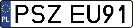 PSZEU91