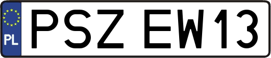 PSZEW13