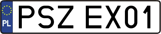PSZEX01