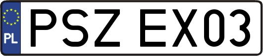 PSZEX03